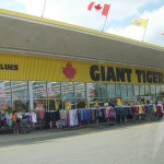 www.gianttiger.com/survey