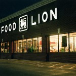 Food Lion Survey