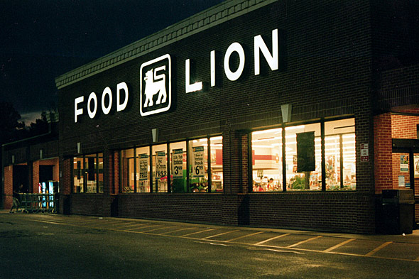 Food Lion Survey