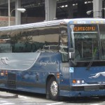 Greyhound Food Services Survey