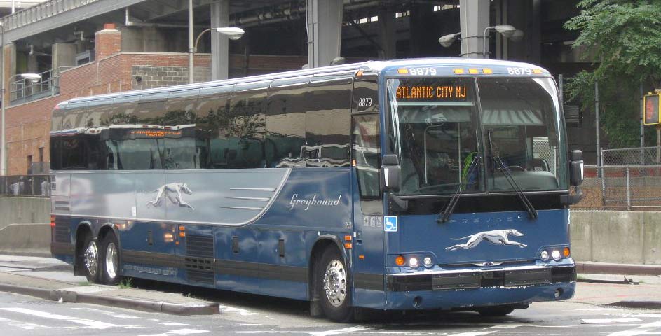 Greyhound Food Services Survey