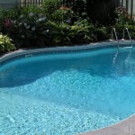 Leslies Poolmart Customer Satisfaction Survey