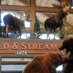 www.tellfieldandstream.smg.com