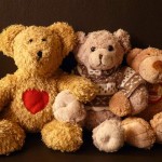 Reddy Bear Portraits Customer Survey